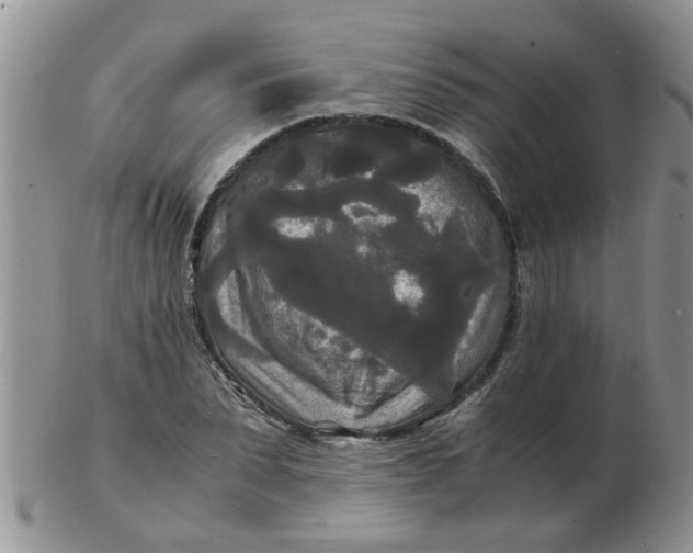 X0000103290879200809122005