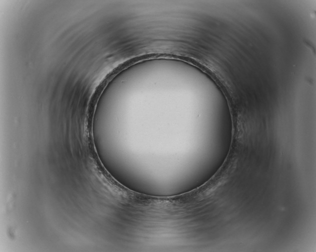 X0000103290880200809122005