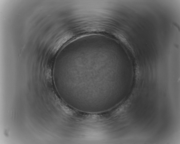 X0000103290881200809122005