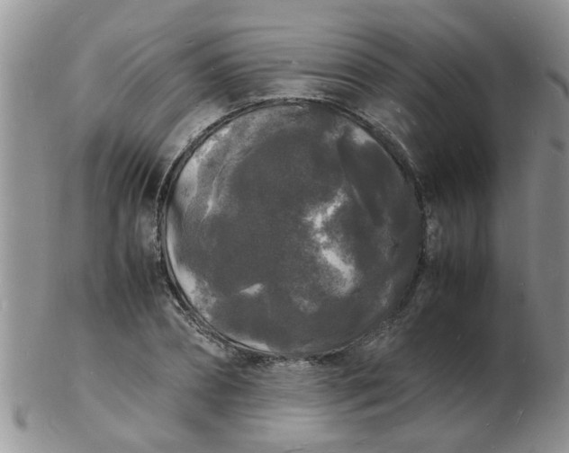 X0000103290882200809122005