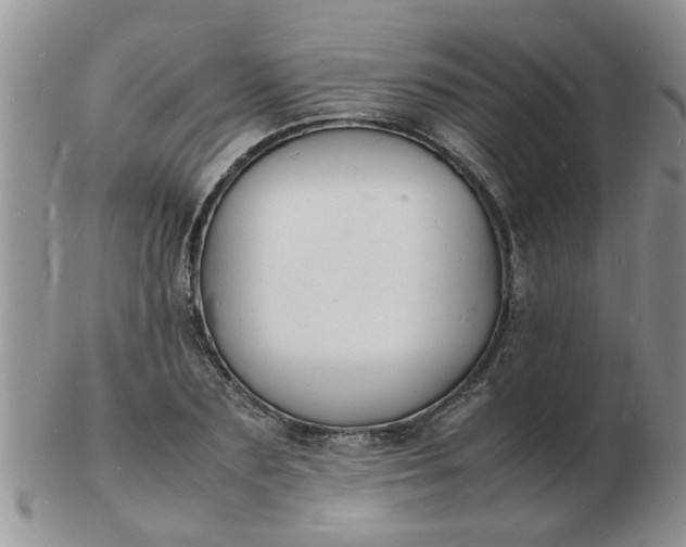 X0000103290883200809122005