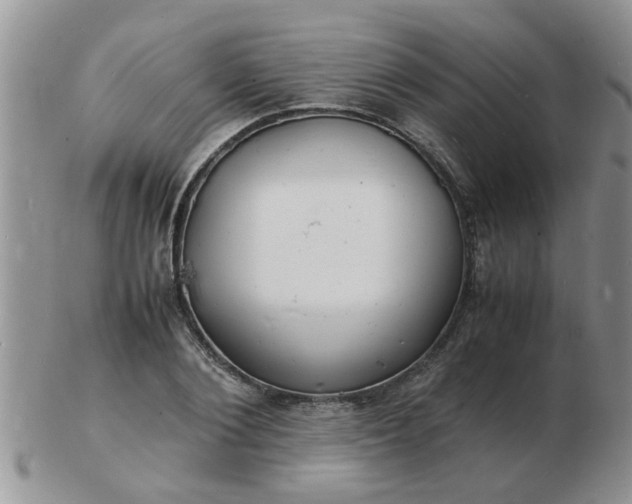 X0000103290884200809122005