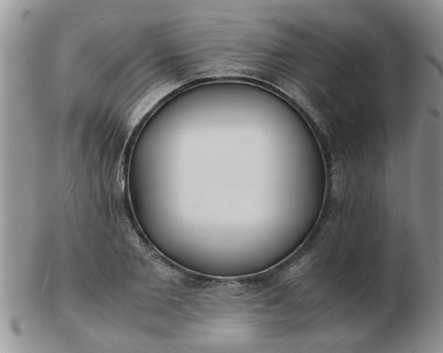 X0000103290885200809122005