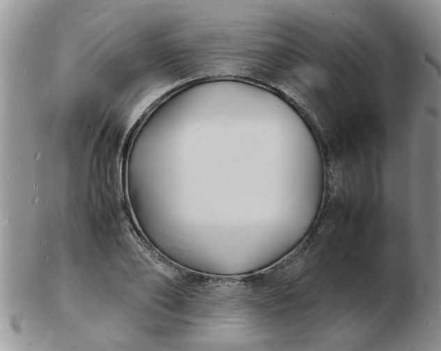 X0000103290886200809122005