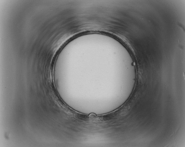 X0000103290887200809122005