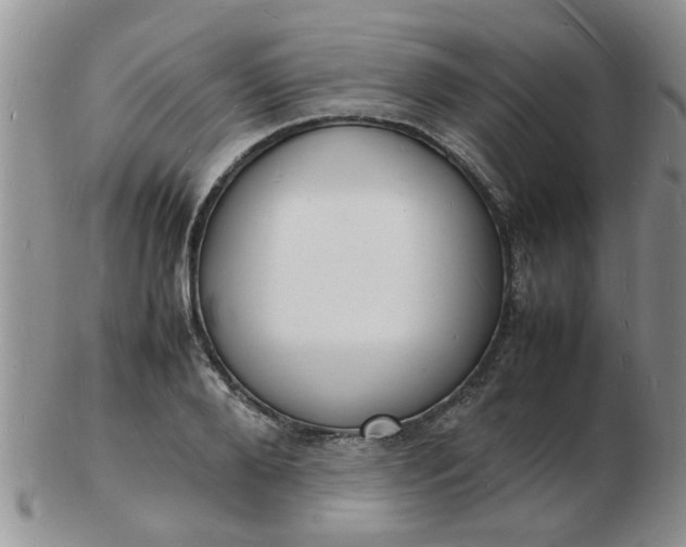 X0000103290888200809122005