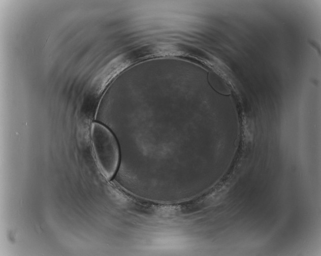 X0000103290889200809122005