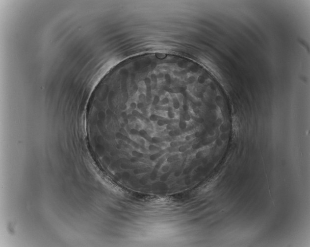 X0000103290891200809122005