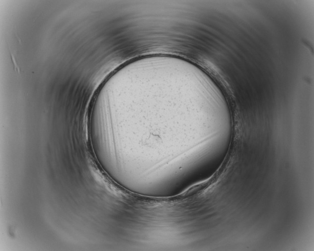 X0000103290892200809122005