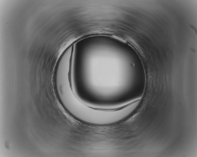 X0000103290893200809122005