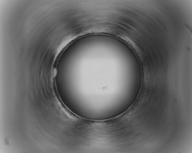 X0000103290894200809122005