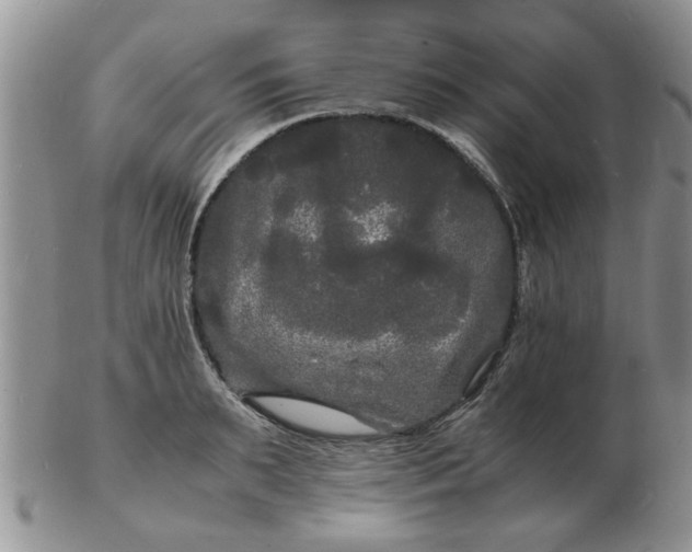 X0000103290895200809122005