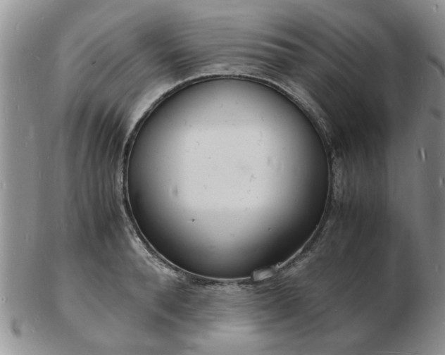 X0000103290896200809122005