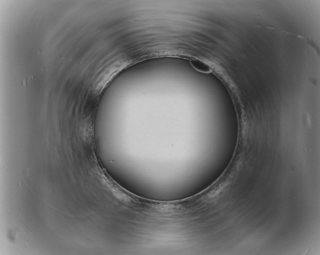 X0000103290897200809122005