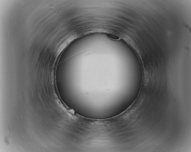 X0000103290898200809122005