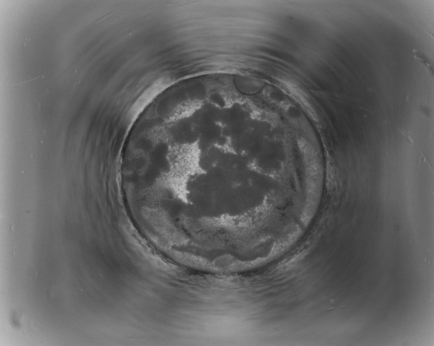 X0000103290899200809122005