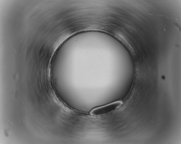 X0000103290900200809122005