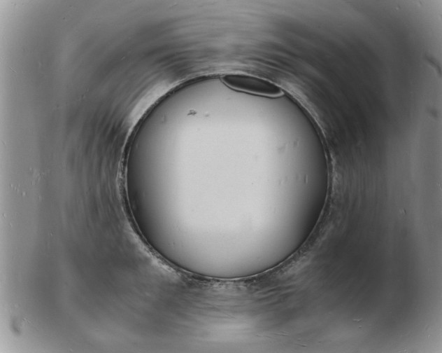 X0000103290901200809122005