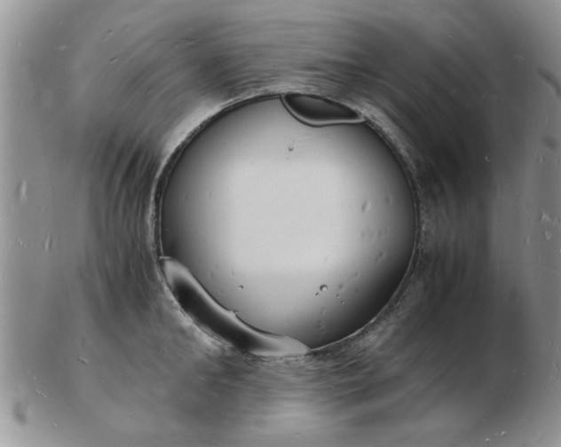 X0000103290902200809122005