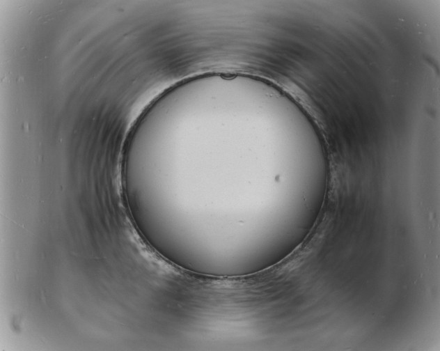 X0000103290904200809122005