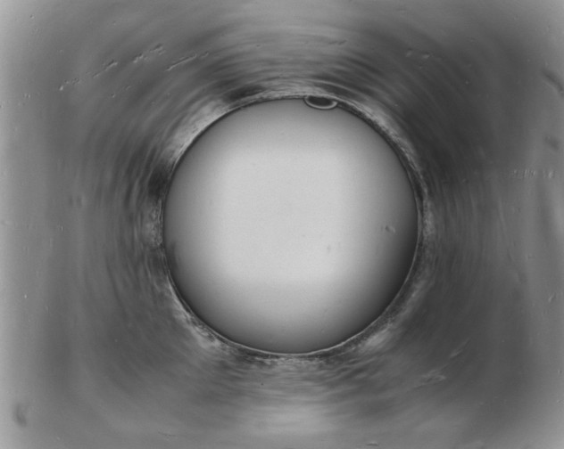 X0000103290905200809122005