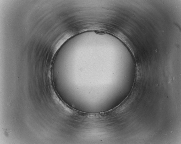 X0000103290906200809122005