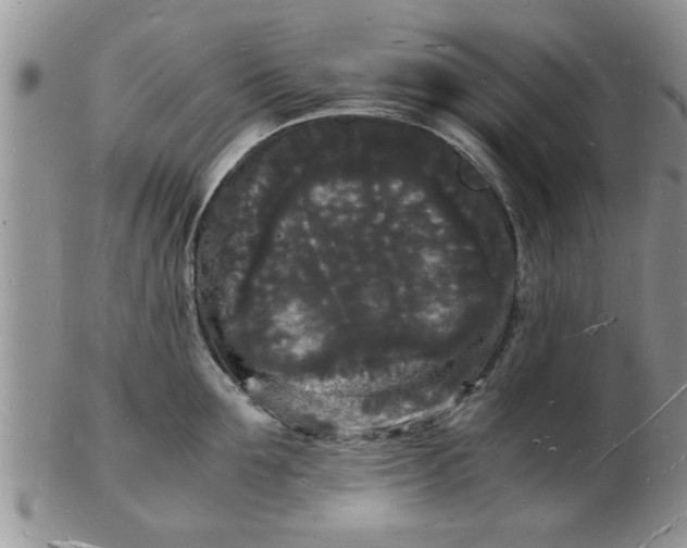 X0000103290907200809122005