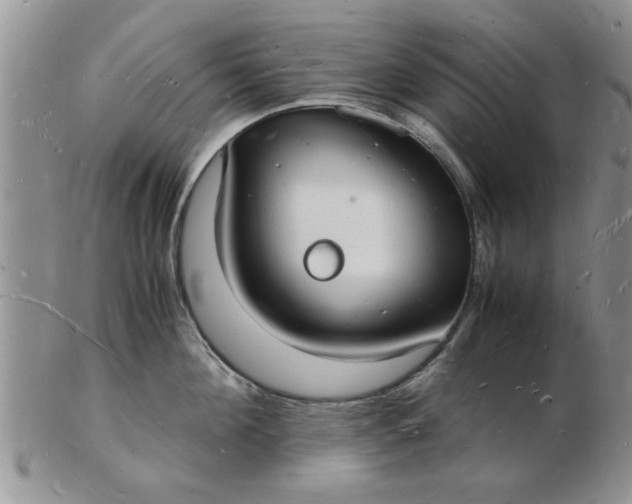 X0000103290908200809122005