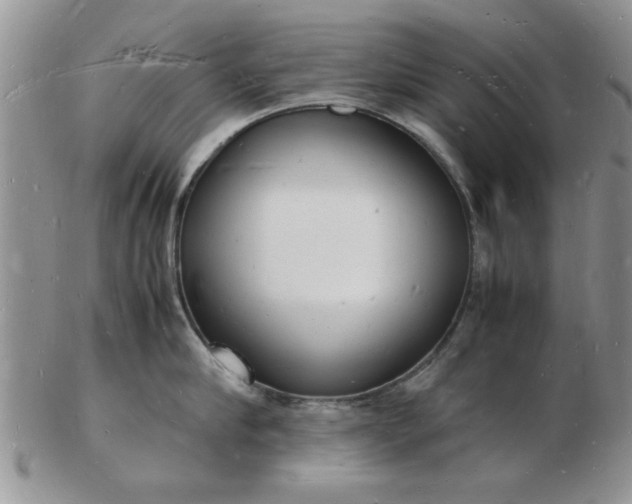 X0000103290910200809122005