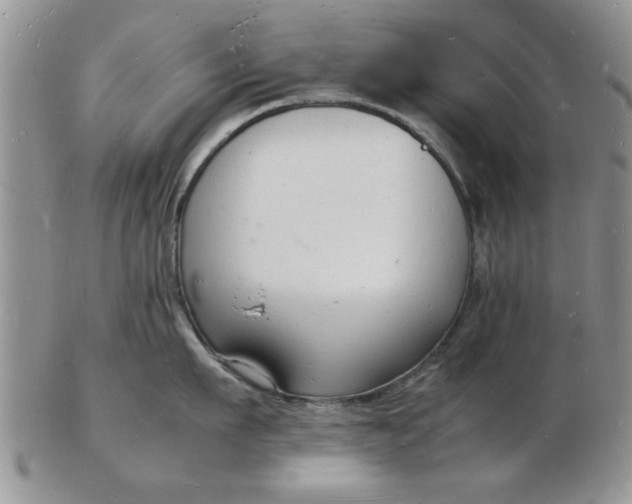 X0000103290911200809122005