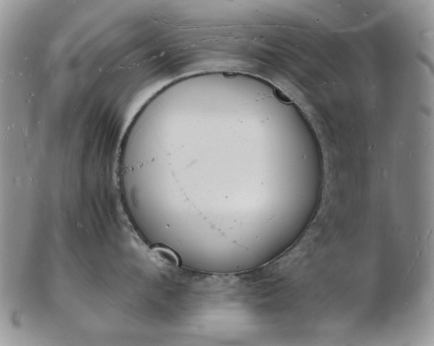 X0000103290912200809122005