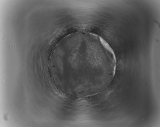 X0000103290913200809122004