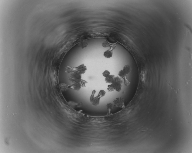 X0000103290915200809122004