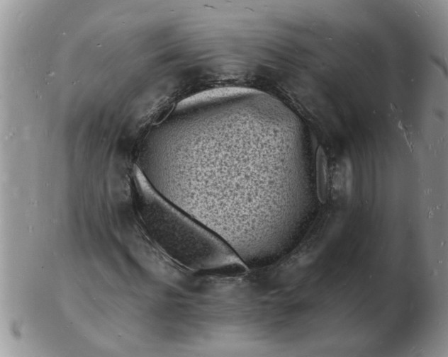 X0000103290916200809122004