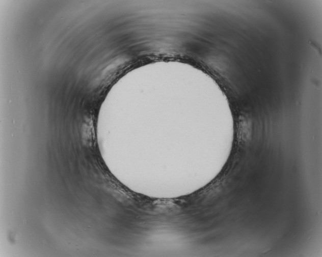 X0000103290918200809122004