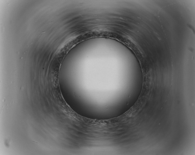 X0000103290919200809122004