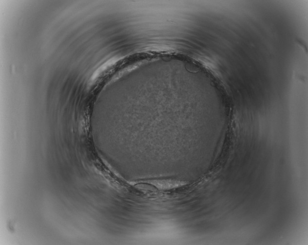 X0000103290920200809122004