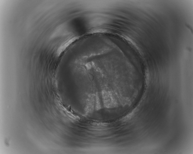 X0000103290921200809122004