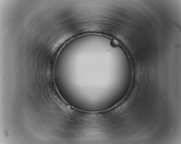 X0000103290922200809122004