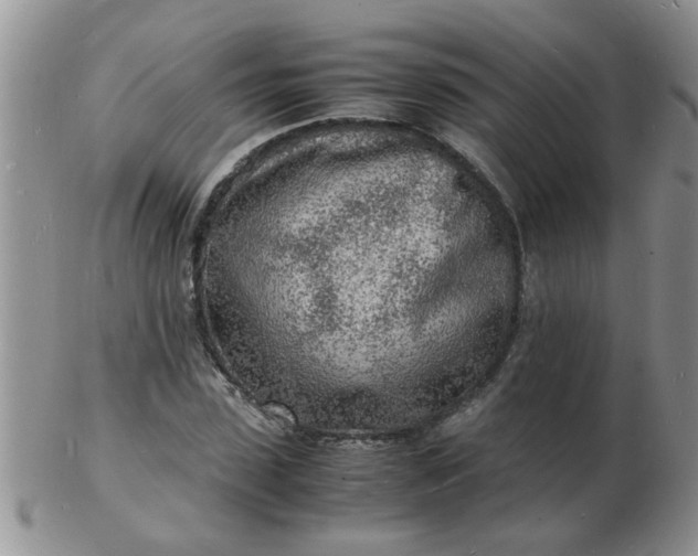 X0000103290923200809122004