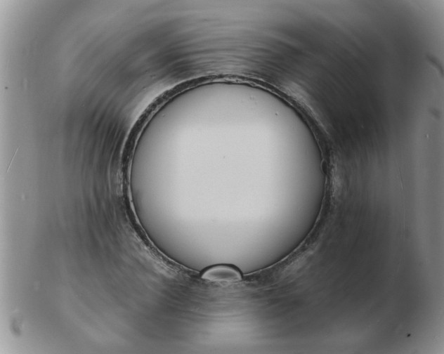 X0000103290924200809122004