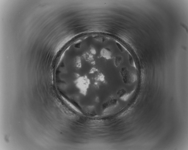 X0000103290925200809122004