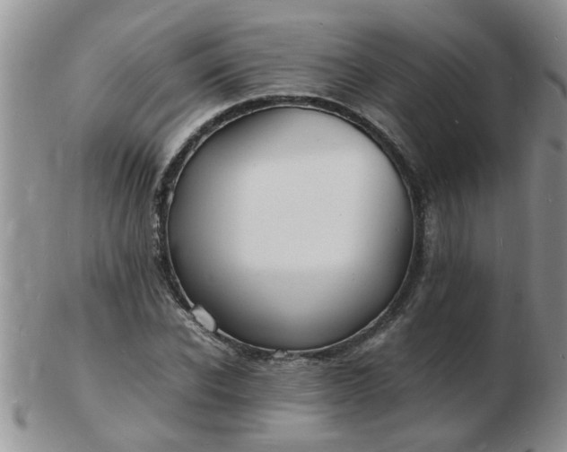 X0000103290926200809122004