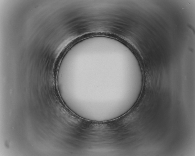 X0000103290927200809122004