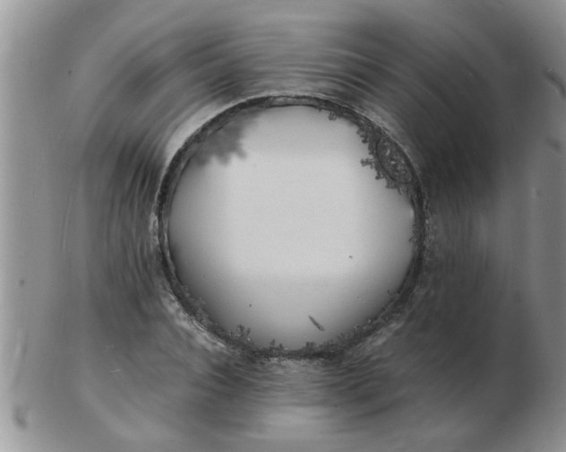 X0000103290928200809122004