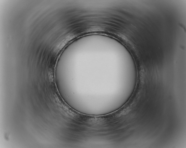 X0000103290929200809122004