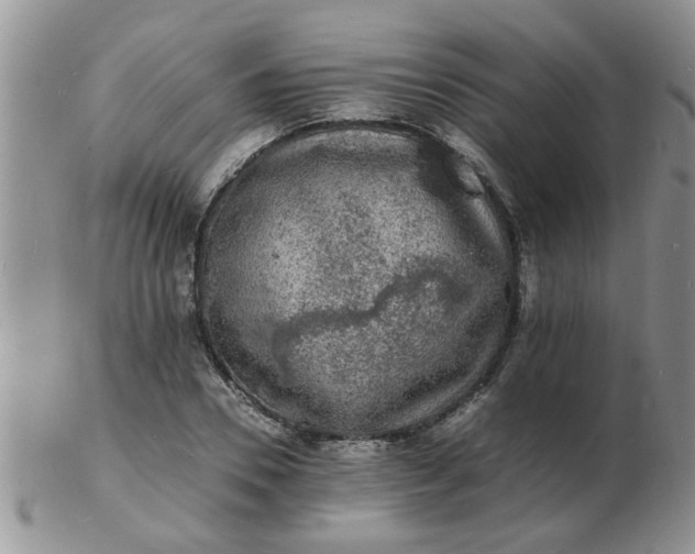 X0000103290930200809122004