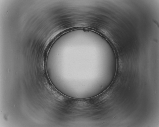 X0000103290931200809122004