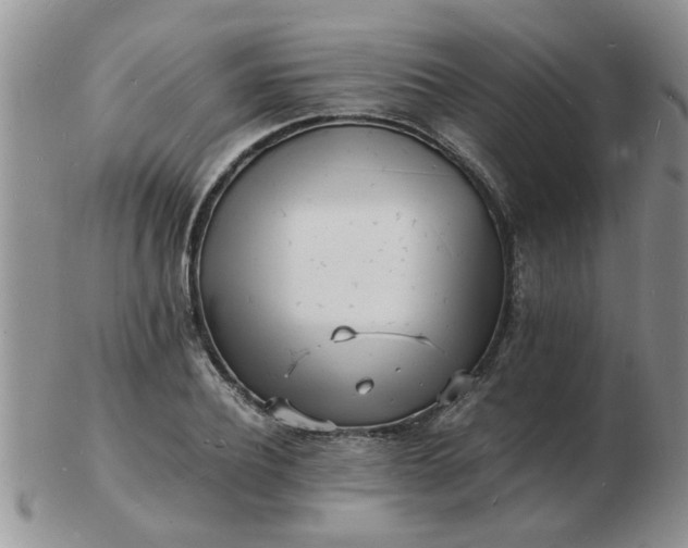 X0000103290932200809122004