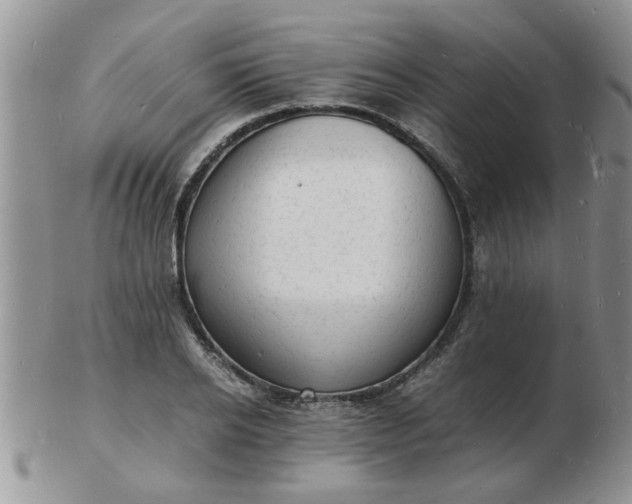 X0000103290934200809122004